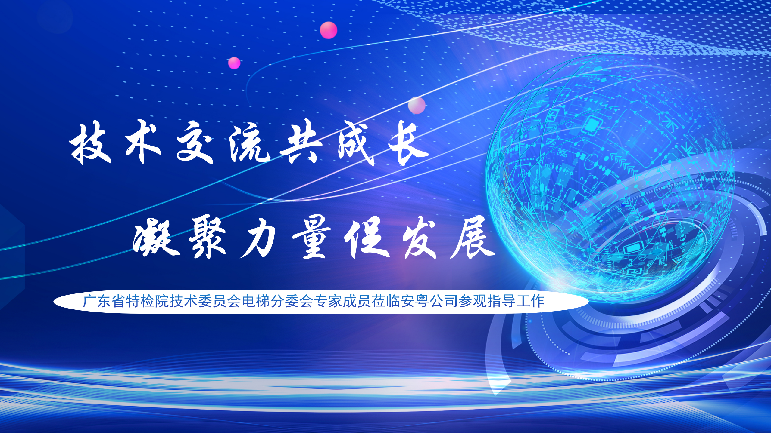 廣東省特檢院技術委員會電梯分委會專家成員蒞臨安粵公司參觀指導工作